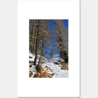 Snowy Trees on Monte Lussari Posters and Art